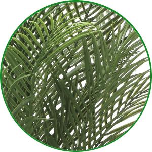 光触媒 観葉植物 フェイクグリーン 人工観葉植...の詳細画像5