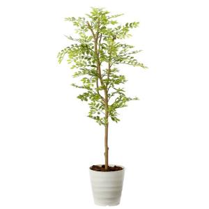 光触媒　人工観葉植物　フェイクグリーン　インテリアモンステラ1.7 光触媒観葉植物 インテリアモンステラ1.7 〔フロアタイプ〕 インテリア