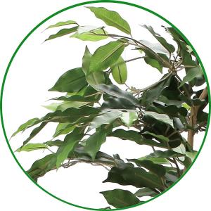 人工観葉植物 大型 フェイクグリーン 光触媒 ...の詳細画像1