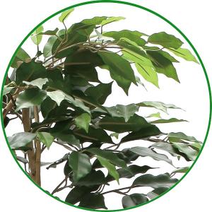 人工観葉植物 大型 フェイクグリーン 光触媒 ...の詳細画像2