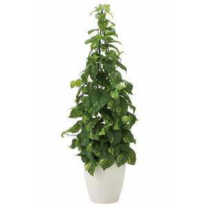 和風 人工観葉植物 大型 フェイクグリーン 光触媒 観葉植物 黒竹＆南天