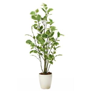 光触媒　人工観葉植物　フェイクグリーン　パキラトピアリー1.2m 光触媒 人工観葉植物 フェイクグリーン パキラトピアリー1.2m 【公式通販】