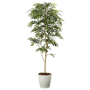 人工観葉植物 大型 フェイクグリーン 光触媒 ...の詳細画像1