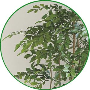 人工観葉植物 大型 フェイクグリーン 光触媒 ...の詳細画像2