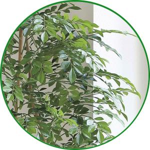 人工観葉植物 大型 フェイクグリーン 光触媒 ...の詳細画像3