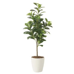 人工観葉植物 フェイクグリーン 光触媒 観葉植物 ウンベラータ 80cm