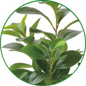フェイクグリーン 人工観葉植物 光触媒 観葉植...の詳細画像1