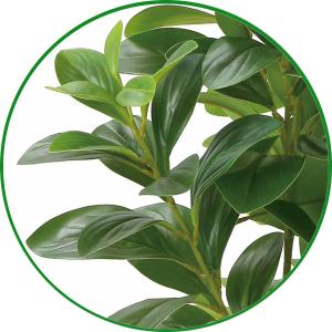 フェイクグリーン 人工観葉植物 光触媒 観葉植...の詳細画像2
