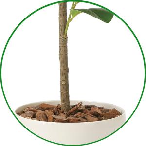 フェイクグリーン 人工観葉植物 光触媒 観葉植...の詳細画像3