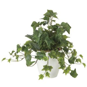 人工観葉植物/クワズイモS 150cm /インテリアグリーン/造花 （別途料金
