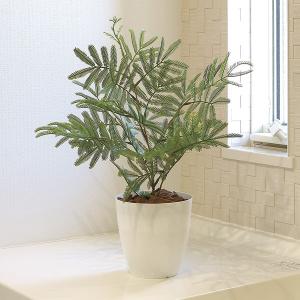 光触媒　人工観葉植物　ウォールグリーン　フェイクグリーン　ケンチャヤシポット15 人工観葉植物 ケンチャヤシ ポット 152 （1個入り） MIRAKANA : さくら