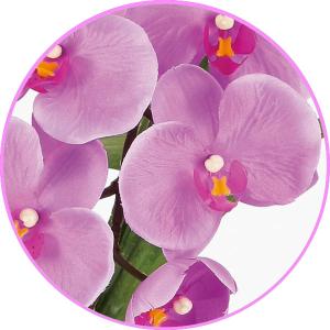 光触媒 胡蝶蘭 造花の胡蝶蘭 お祝いにも プリ...の詳細画像3