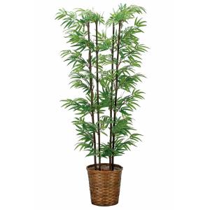 人工観葉植物 ヤツデ ポット 190 （1個入り） MIRAKANA : さくら