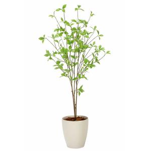 フェイクグリーン 人工観葉植物 光触媒 観葉植物 モンステラ75cm
