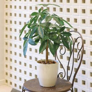 光触媒　人工観葉植物　ウォールグリーン　フェイクグリーン　黒竹&南天1.6m 光触媒 人工観葉植物 ウォールグリーン フェイクグリーン 黒竹5033