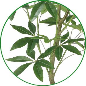 フェイクグリーン 人工観葉植物 大型 光触媒 ...の詳細画像4