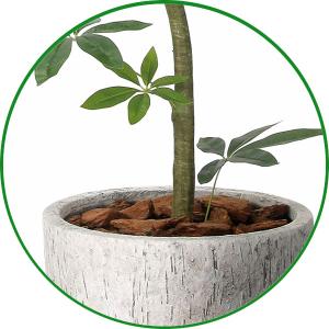 フェイクグリーン 人工観葉植物 大型 光触媒 ...の詳細画像5