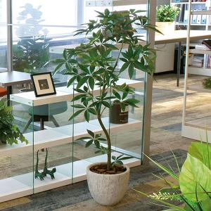 フェイクグリーン 人工観葉植物 大型 光触媒 ...の詳細画像1