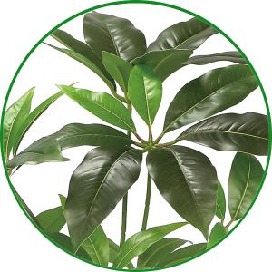 人工観葉植物 フェイクグリーン インテリア 光...の詳細画像2