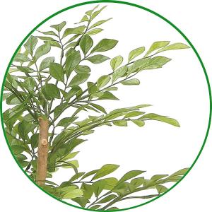人工観葉植物 フェイクグリーン 光触媒 観葉植...の詳細画像3