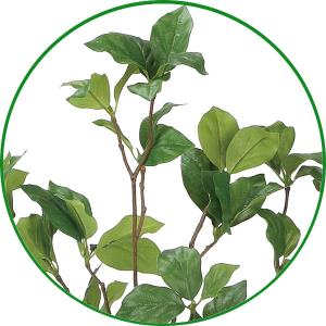 人工観葉植物 フェイクグリーン 光触媒 観葉植...の詳細画像2