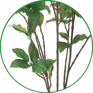 人工観葉植物 フェイクグリーン 光触媒 観葉植...の詳細画像4