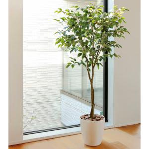 人工観葉植物 フェイクグリーン 光触媒 観葉植物 インテリア パキラ