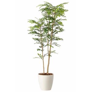 人工観葉植物 大型 フェイクグリーン 光触媒 観葉植物 トネリコ1.8m