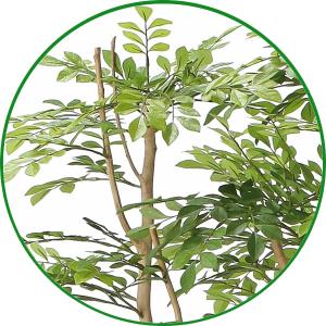 人工観葉植物 大型 フェイクグリーン 光触媒 ...の詳細画像3