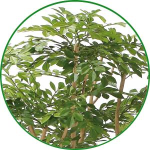 人工観葉植物 大型 フェイクグリーン 光触媒 ...の詳細画像4