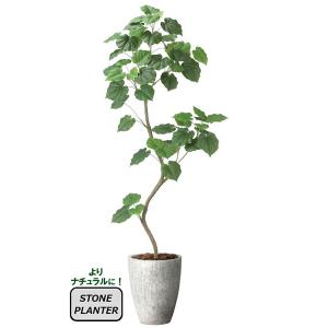 人工観葉植物 大型 フェイクグリーン インテリア 光触媒 観葉植物　ナチュラルウンベラータ 1.9m（組立式）鉢：ストーンプランター リアル おしゃれ