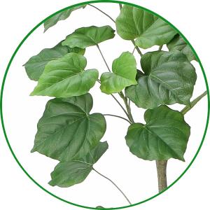 人工観葉植物 大型 フェイクグリーン インテリ...の詳細画像2