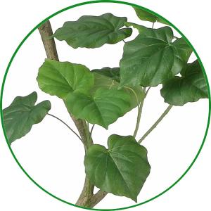 人工観葉植物 大型 フェイクグリーン インテリ...の詳細画像3