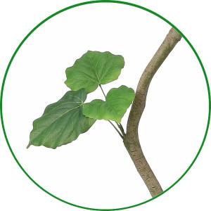 人工観葉植物 大型 フェイクグリーン インテリ...の詳細画像4