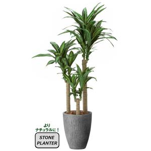 人工観葉植物 大型 フェイクグリーン 光触媒 観葉植物 トネリコ1.8m