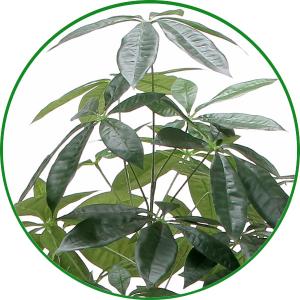 人工観葉植物 大型 フェイクグリーン 光触媒 ...の詳細画像1