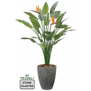 人工観葉植物 大型 フェイクグリーン 光触媒 観葉植物　ナチュラルストレチア花付1.7m 鉢:ストーンプランター リアル 開店・開院・開業 お祝いにも