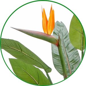 人工観葉植物 大型 フェイクグリーン 光触媒 ...の詳細画像2