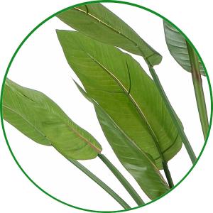人工観葉植物 大型 フェイクグリーン 光触媒 ...の詳細画像3