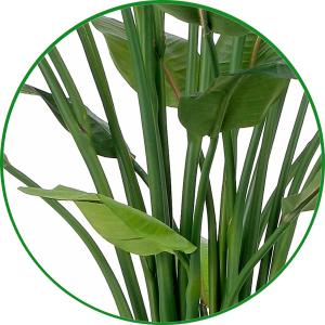 人工観葉植物 大型 フェイクグリーン 光触媒 ...の詳細画像5