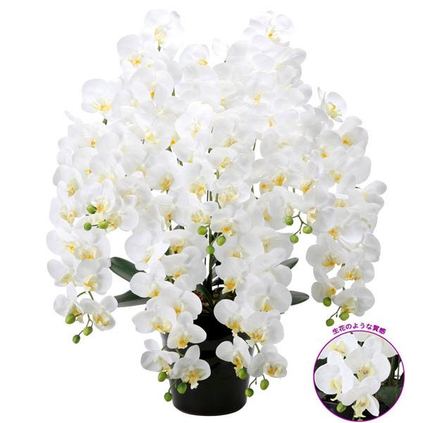 光触媒 胡蝶蘭  造花の胡蝶蘭 フレッシュロング胡蝶蘭7本立Ｗ (開店・開院・開業 お祝いにも 豪華...