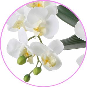 光触媒 胡蝶蘭 造花の胡蝶蘭 高級 豪華 リア...の詳細画像2