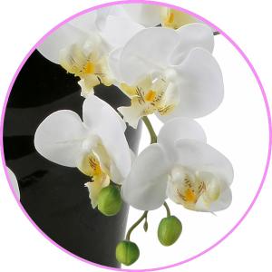 光触媒 胡蝶蘭 造花の胡蝶蘭 高級 豪華 リア...の詳細画像4