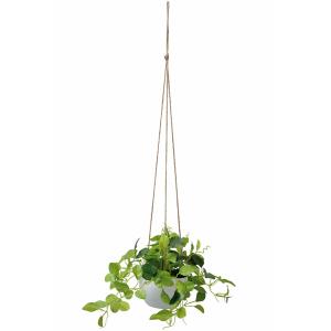 フェイクグリーン 人工観葉植物 光触媒 ハンギ...の詳細画像1