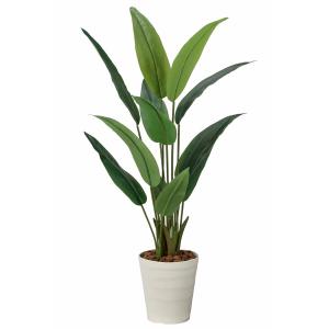 フェイクグリーン 人工観葉植物 大型 光触媒 観葉植物 フレッシュストレチア1.2m インテリア リアル おしゃれ 新商品