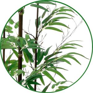 和風 人工観葉植物 フェイクグリーン 光触媒 ...の詳細画像3