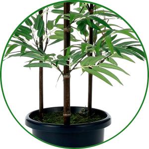 和風 人工観葉植物 フェイクグリーン 光触媒 ...の詳細画像4