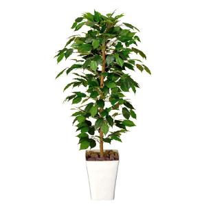 ☆立札無料☆【すぐ飾れる】 フェイクグリーン 人工観葉植物