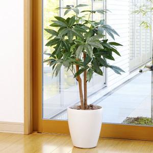 人工観葉植物 フェイクグリーン 光触媒 観葉植物　パキラ90cm インテリア リアル おしゃれ 開店・開院・開業 お祝いにも｜光の楽園ショップ モントブレッテ