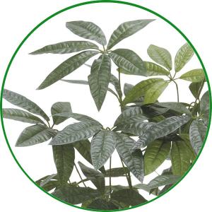 人工観葉植物 フェイクグリーン 光触媒 観葉植...の詳細画像2